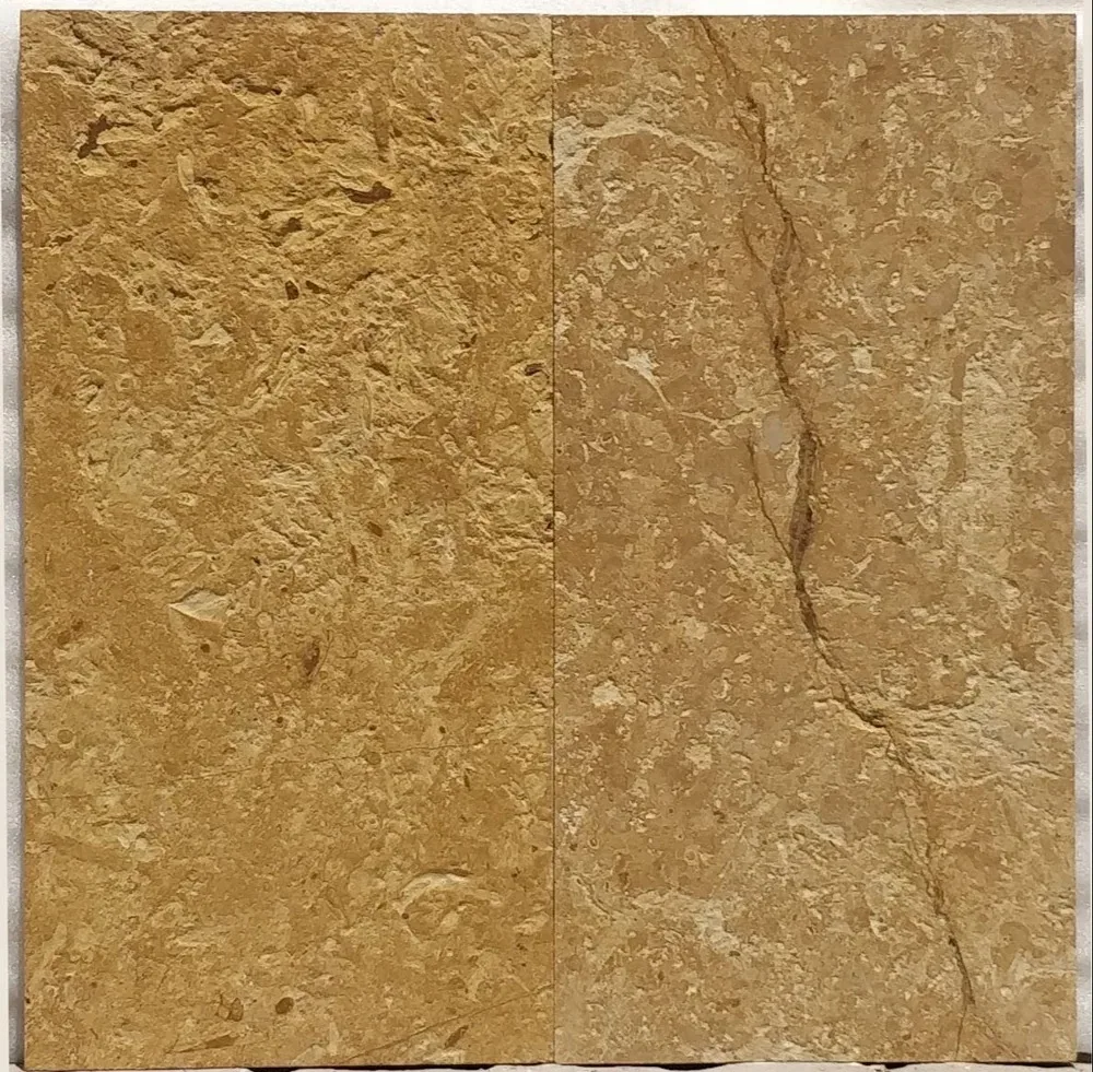 Jaisalmer Gold Flower Sandstone view 2