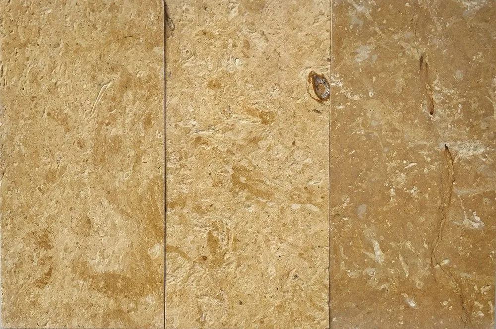 Jaisalmer Gold Flower Sandstone view 3