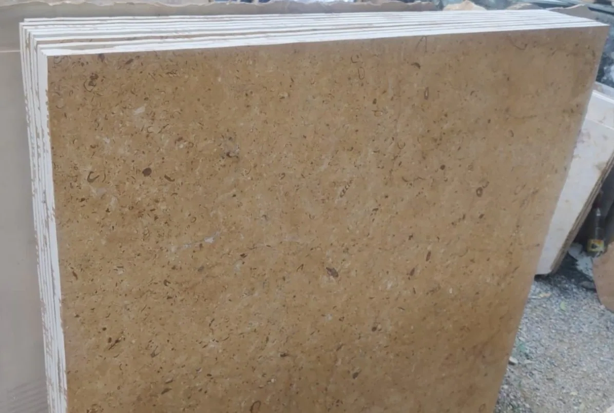 Jaisalmer Gold Flower Sandstone view 5